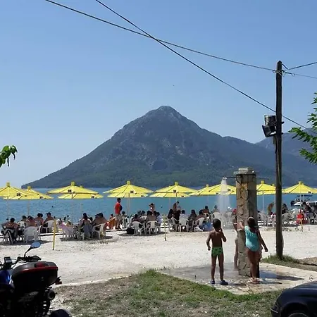 Delfinia