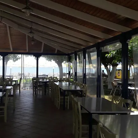 Delfinia
